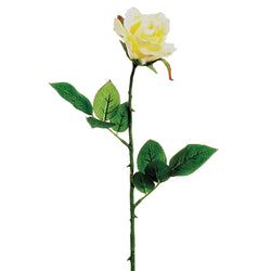Soft Yellow