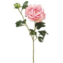 Options – Pink
