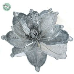 Options – Silver