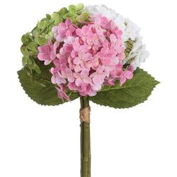 Pink/Green