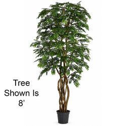 6'