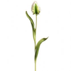Cream/Green