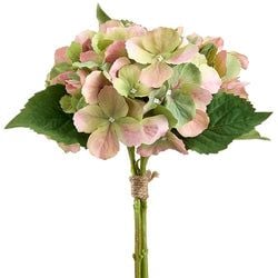 Pink/Green