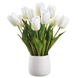 White/Green