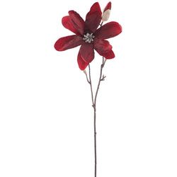 Red/Burgundy