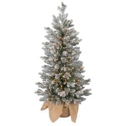 Options – 4' LED