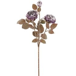 Options – Purple