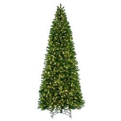 10' LED