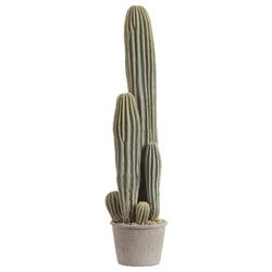 24"