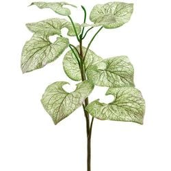 Green/Variegated