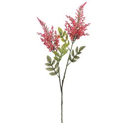 Cerise/Pink