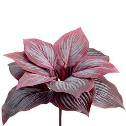 Frosted Burgundy