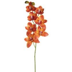 Options – Orange