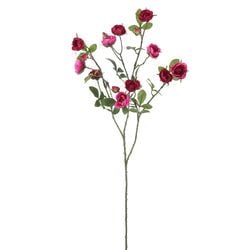 Options – Fuchsia