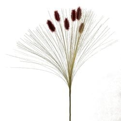 Options – Burgundy