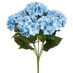 Blue/Delphinium