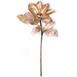 Gold/Pink