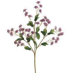 Options – 2-Tone Lavender