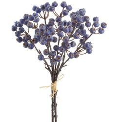 Options – Blue