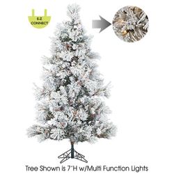 9' Multi Functional LED Lights