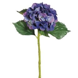 Blue/Helio