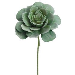 Green/Gray