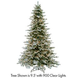 12' LED Lights