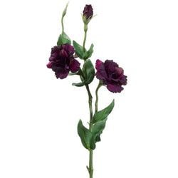 2 Tone Violet