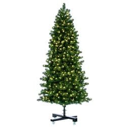 Options – 6'6" LED
