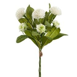 Options – White