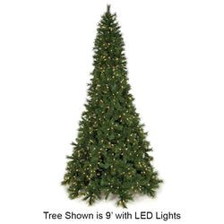 7'6" Lighted