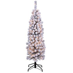 5' Lighted