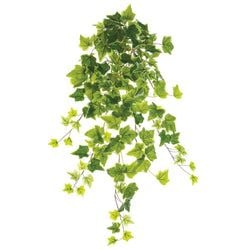 Variegated