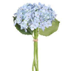 Delphinium