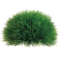 5"Hx10"W