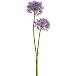 Options – Lavender