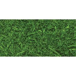 2 Tone Green