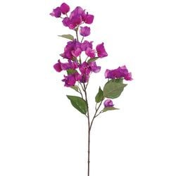 Purple/Orchid
