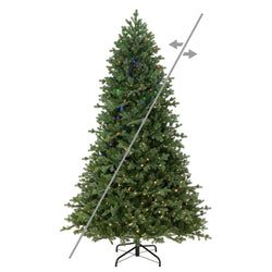 6'6" LED Multi-Mode