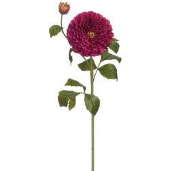 Fuchsia/Burgundy