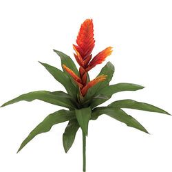 Red/Orange