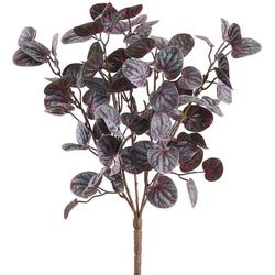 Purple/Green