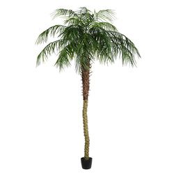 8'