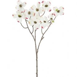 White/Pink