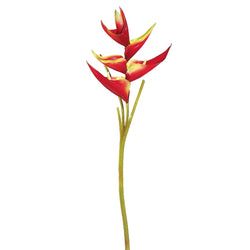 Red/Yellow