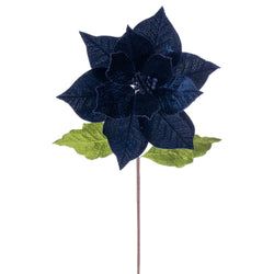 Midnight Blue