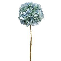 Options – Aqua/Green