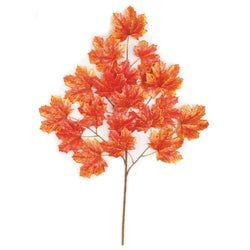 Options – Red/Orange