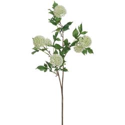 35" Cream/Green