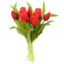 Options – Red